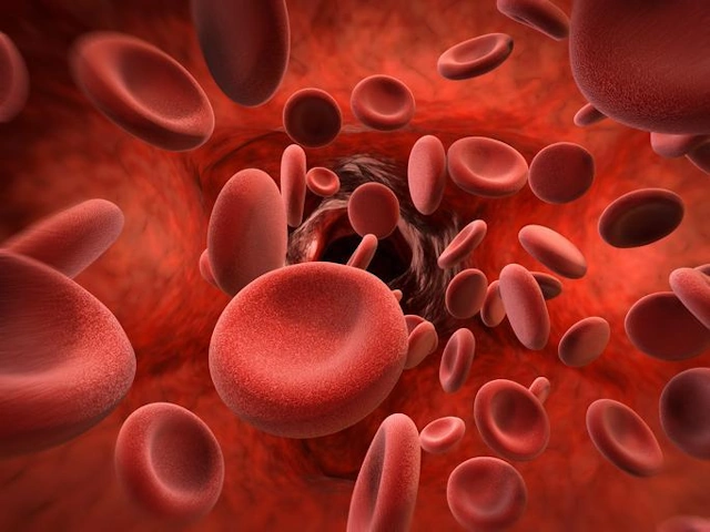 Glóbulos Rojos en la circulación