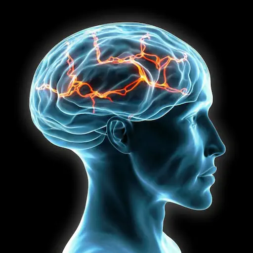Trazos eléctricos en el cerebro