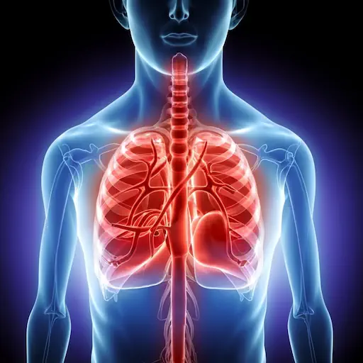 Termografía pulmonar