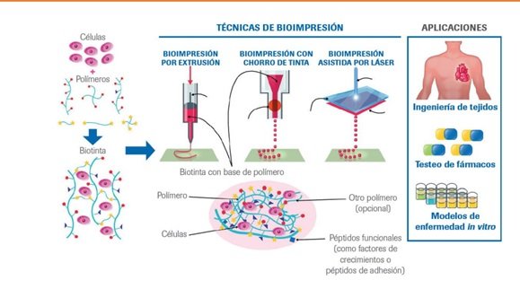 Esquema de la bioimpresión 3D